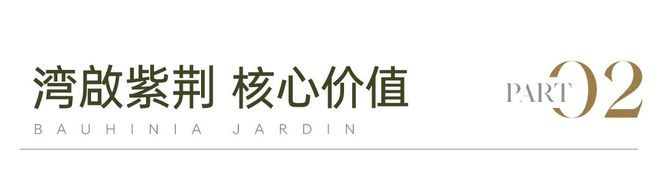 启紫荆府』网站售楼中心紫荆府欢迎您九游会登录j9入口2024『自贸湾(图5)